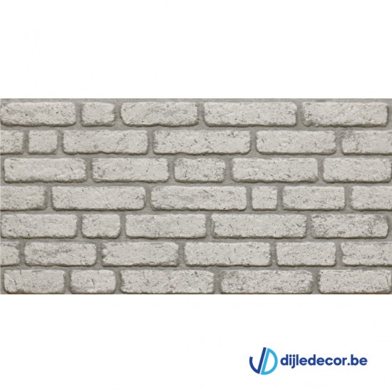 Steenlook wandpaneel | 5m2 | 100cm x 50cm | DD689039